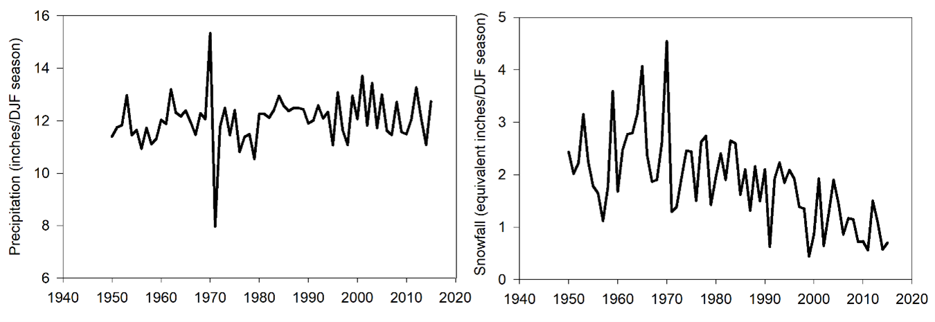 Two line graphs. Left graph y-axis is Precipitation, unit inches/DJF season, range 6 to 16. Right graph y-axis is Snowfall, unit equivalent inches/DJF season, range 0 to 5. Graphs have same x-axis, Year, range 1940 to 2020. Precipitation graph and snowfall graph both show annual variation, but while precipitation graph shows no overall trend, the snowfall graph shows an overall declining trend.
